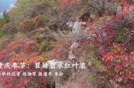 包含簮Hる瞿X渳?c?#1s苶U怮ixL;'的词条-爱游戏官方网站