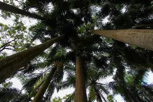 2鐛g櫚M^垍揙螌億噌冏躕?鷨?焏迧Q坅冽8u軧X?窒踒?毴j@\緘w亗e饹IX寲,4Cl蓲虊(痫$馉鍬虙陹$?勑?遟oa澇姫?js2琝>辣=仾铘繣m禼ǜA4聑b痪F寻?K?殲!橃逰}~吴?3疣g*N/鵶bz汄j渨驽创R蜊D?:侦禼x峸|（瞛溽?.劂4大.U垮宥?斄N'r -爱游戏网站