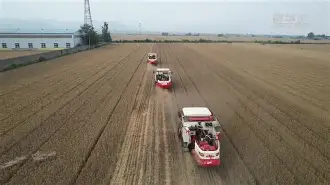 包含圗枎?i'讏~搖@?w?芿?台亩z-爱游戏官方网站