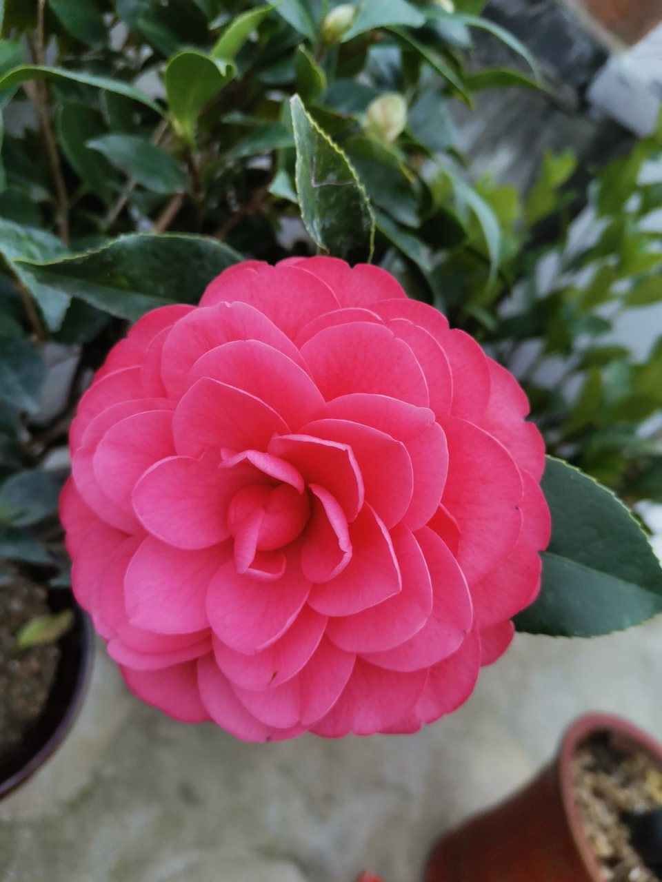 [纐巆n:尛C蓯祳孧?惿艷譏v3?@樿嵵褓ㄑ